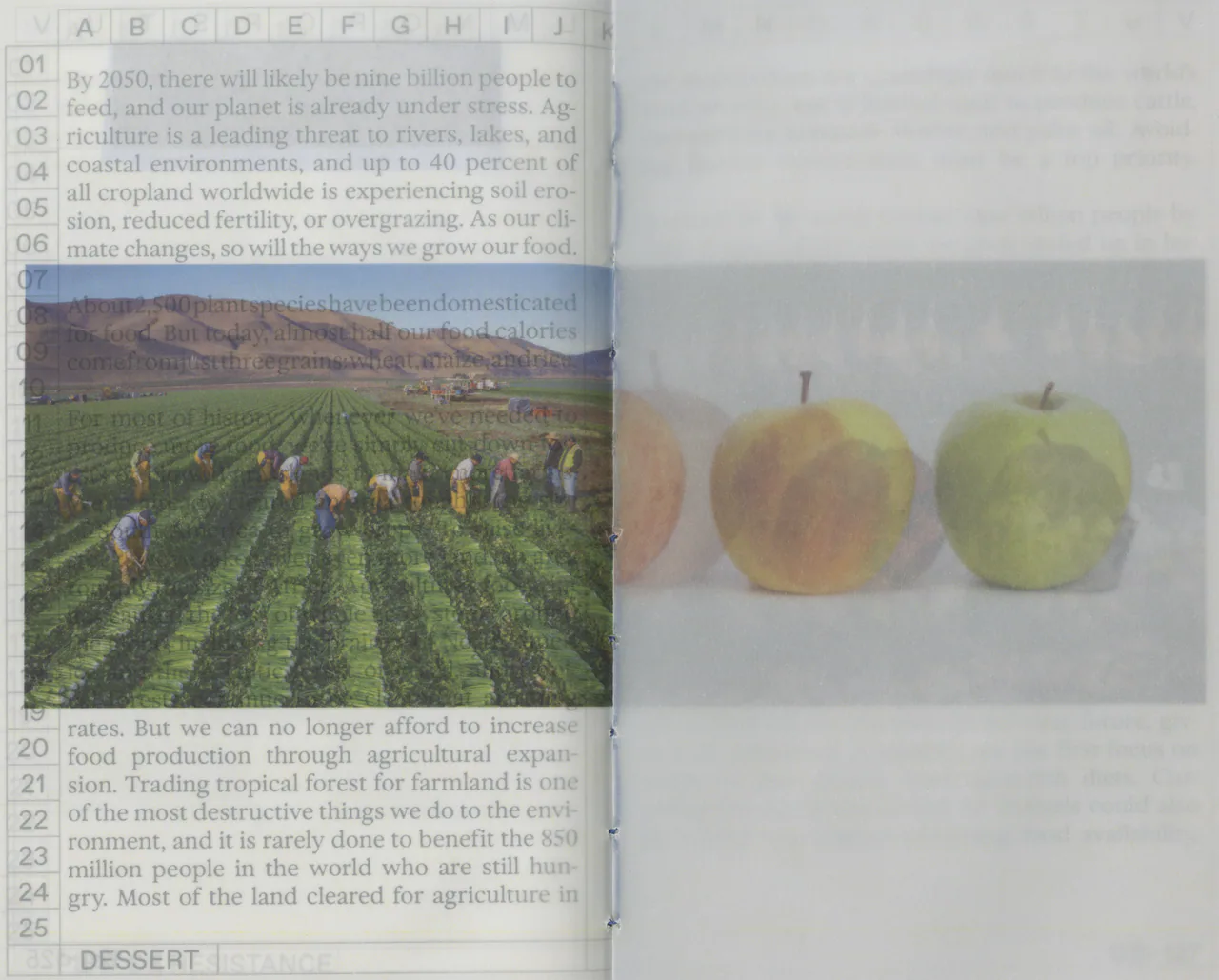 Impossible Produce project image